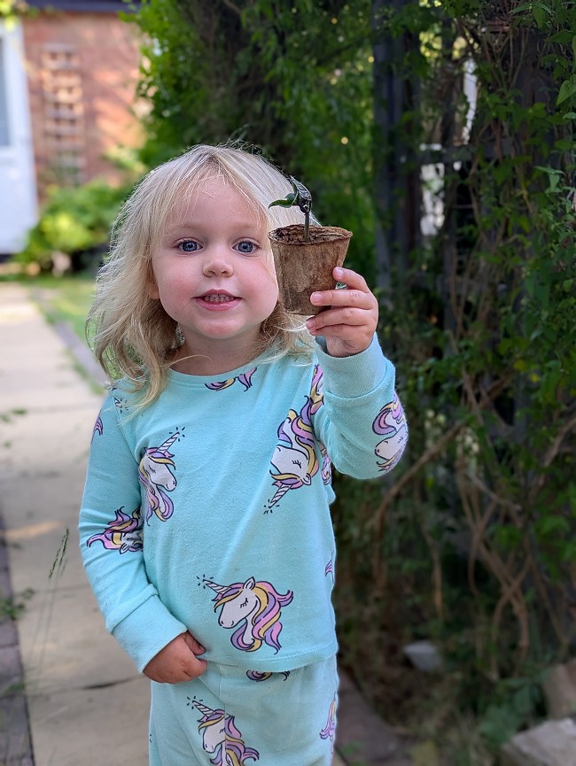 Our audience members’ beans are already starting to sprout!