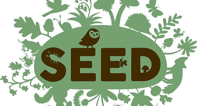 The SEED dance and story-telling project
